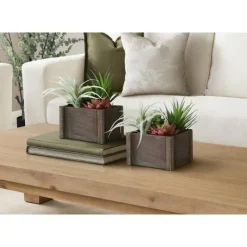 Monarch 10" Artificial Plant (Set of 2)