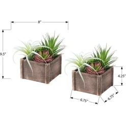 Monarch 10" Artificial Plant (Set of 2)
