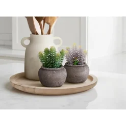 Monarch 8" Artificial Plant (Set of 2)