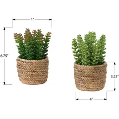 Monarch 7" Artificial Plant (Set of 2)
