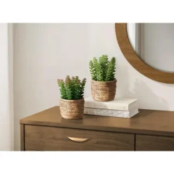 Monarch 7" Artificial Plant (Set of 2)