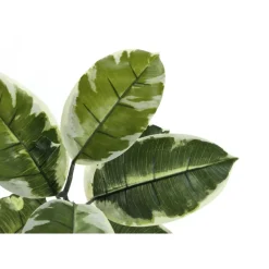Monarch Artificial plant - 52"h / indoor rubber tree in a 5" pot