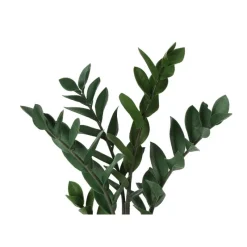 Monarch Artificial plant - 29