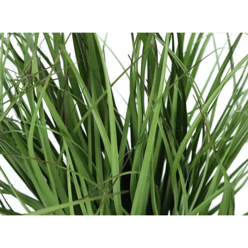 Monarch Artificial plant - 23"h / indoor grass in a 4" pot