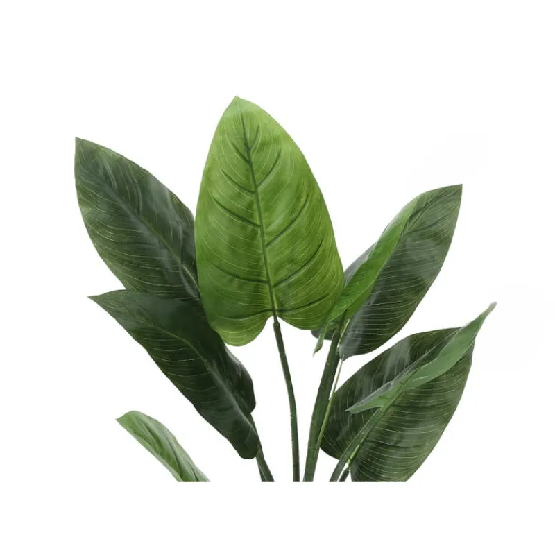 Monarch Artificial plant - 37"h / indoor aureum in a 6" pot