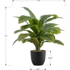 Monarch Artificial plant - 17"h / indoor dracaena in a 4" pot