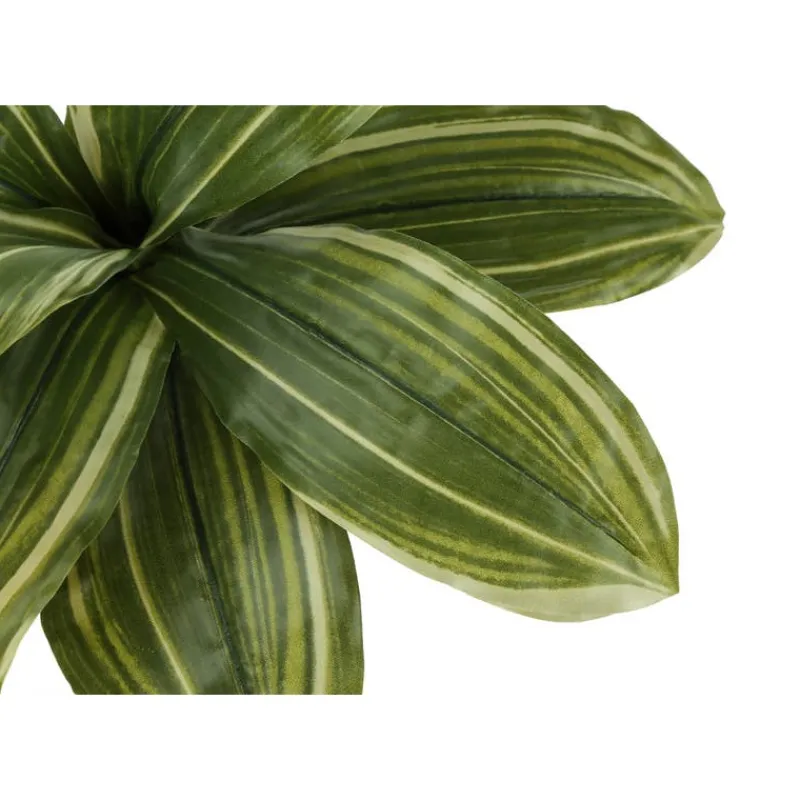 Monarch Artificial plant - 17"h / indoor dracaena in a 4" pot