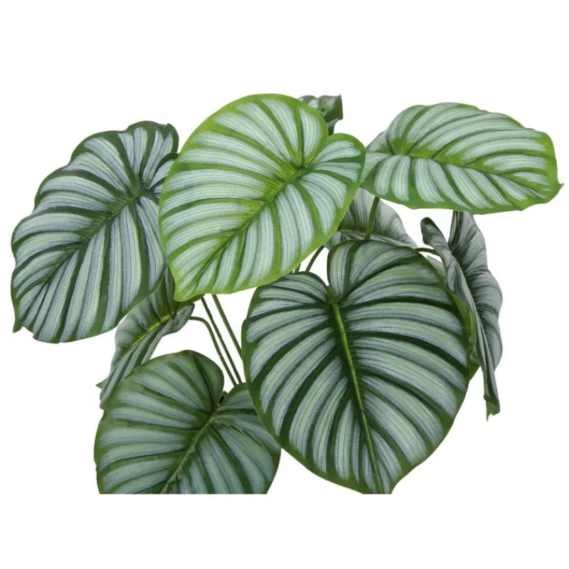 Monarch Artificial plant - 24"h / indoor calathea in a 5" pot