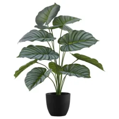 Monarch Artificial plant - 24"h / indoor calathea in a 5" pot