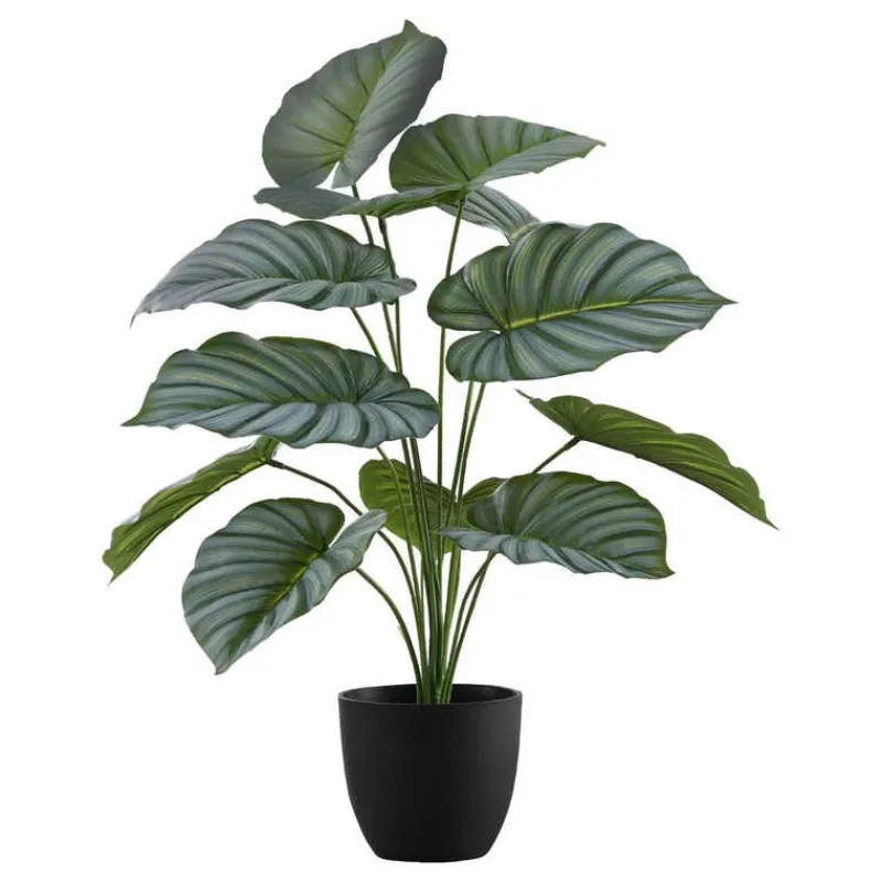 Monarch Artificial plant - 24"h / indoor calathea in a 5" pot