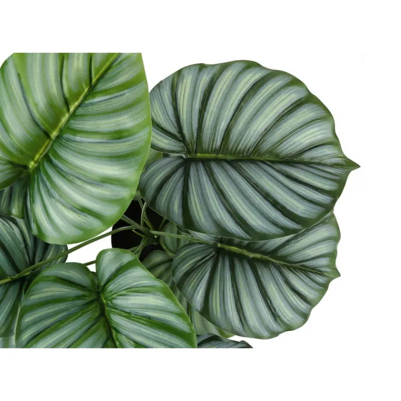 Monarch Artificial plant - 24"h / indoor calathea in a 5" pot