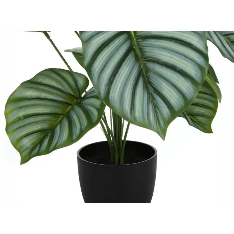 Monarch Artificial plant - 24"h / indoor calathea in a 5" pot