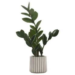 Monarch Artificial plant - 20"h / indoor zz in a 5" cement pot