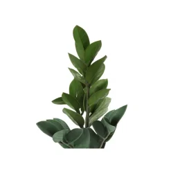 Monarch Artificial plant - 20