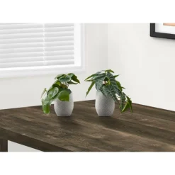 Monarch Artificial plant - 2pcs / 8"h alocasia / 5" cement pot