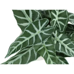 Monarch Artificial plant - 2pcs / 8