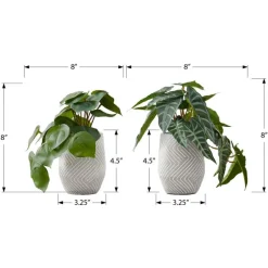 Monarch Artificial plant - 2pcs / 8