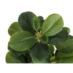 Monarch Artificial plant - 2pcs / 14"h ficus elastica in 4" pot