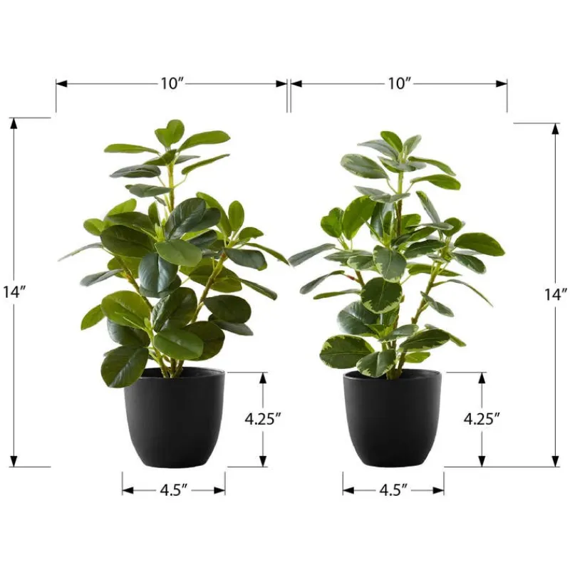 Monarch Artificial plant - 2pcs / 14"h ficus elastica in 4" pot