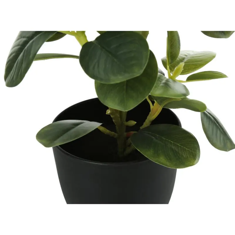 Monarch Artificial plant - 2pcs / 14"h ficus elastica in 4" pot
