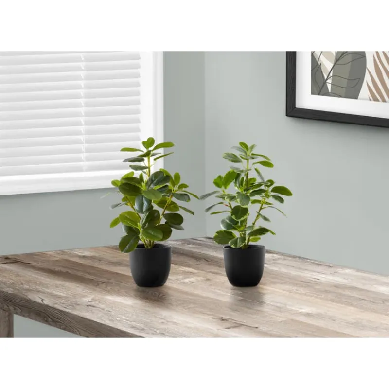 Monarch Artificial plant - 2pcs / 14"h ficus elastica in 4" pot