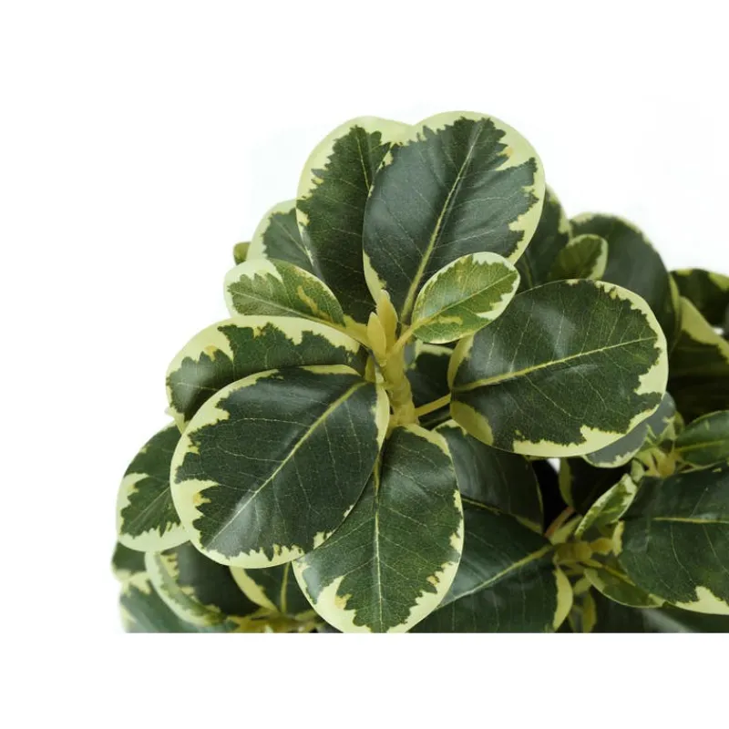 Monarch Artificial plant - 2pcs / 14"h ficus elastica in 4" pot