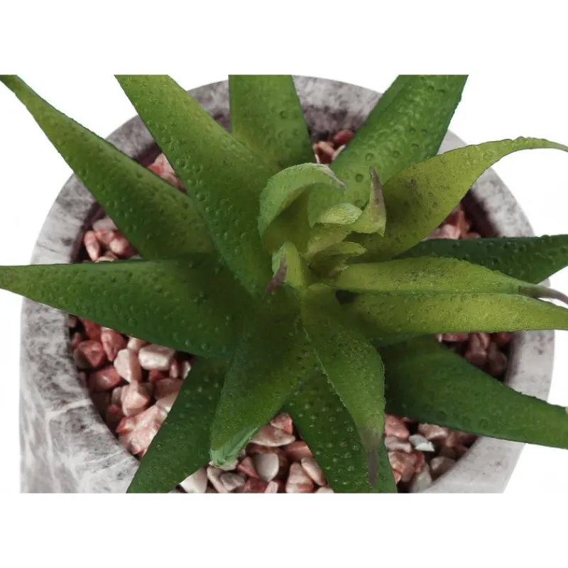 Monarch Artificial plant - 2pcs / 7"h succulent in 4" cement pot