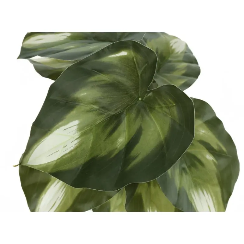 Monarch Artificial plant - 2pcs / 13"h monstera/calathea/ 4" pot