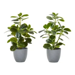 Monarch Artificial Plant 14" (set of 2)