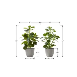 Monarch Artificial Plant 14