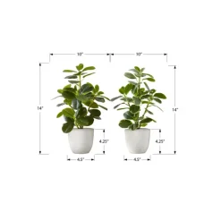 Monarch Artificial Plant 14" (set of 2)