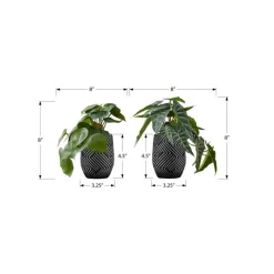 Monarch Artificial Plant 8