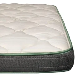 Dreamstar Baby Crib Mattress