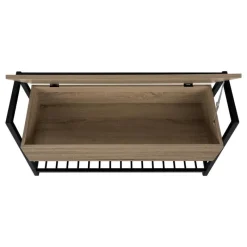 Monarch Bench - shoe rack / flip top storage - 42