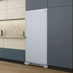 Danby 17 cu ft 30 In all refrigerator All refrigerator - DAR170A3WDD