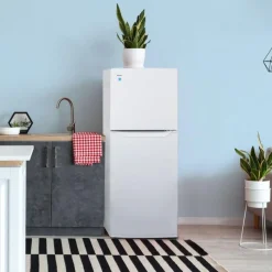 Danby 24 in 11 Cu ft Refrigerator Top Freezer - DFF116B2WDBR