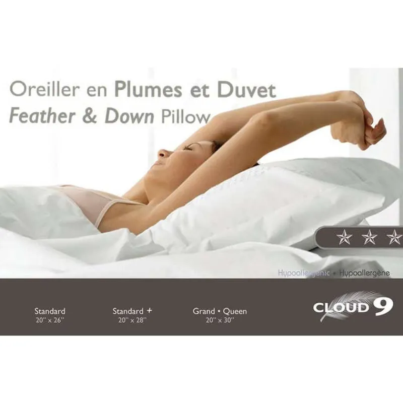 Feather and Down Pillow