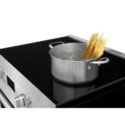 Frigidaire Professional Range 30
