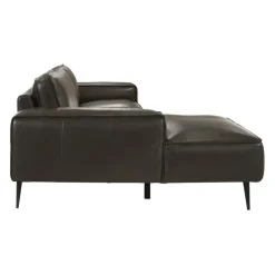 Genuine Leather Sectional with Left-Side Chaise