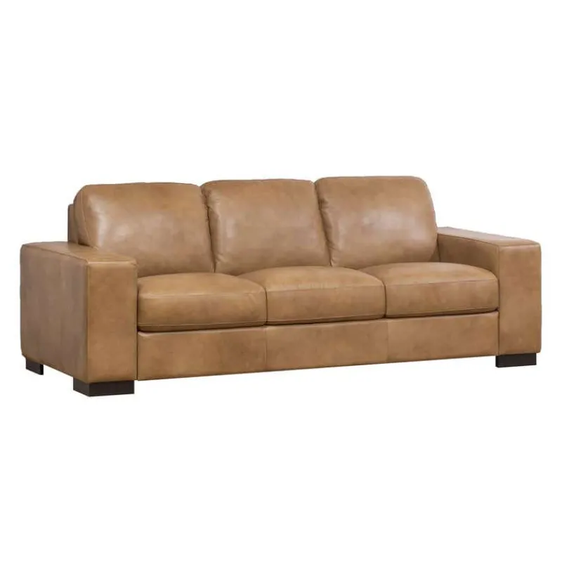 Genuine Leather Sleeper Sofa