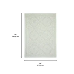 Indoor or Outdoor Rug - 7 x 10