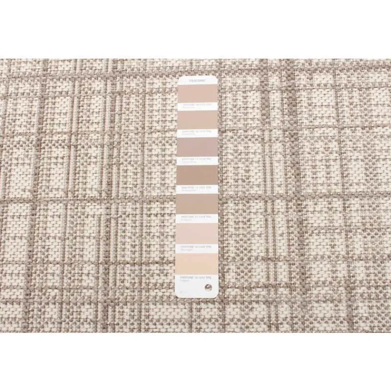 Indoor or Outdoor Rug - 2 x 4