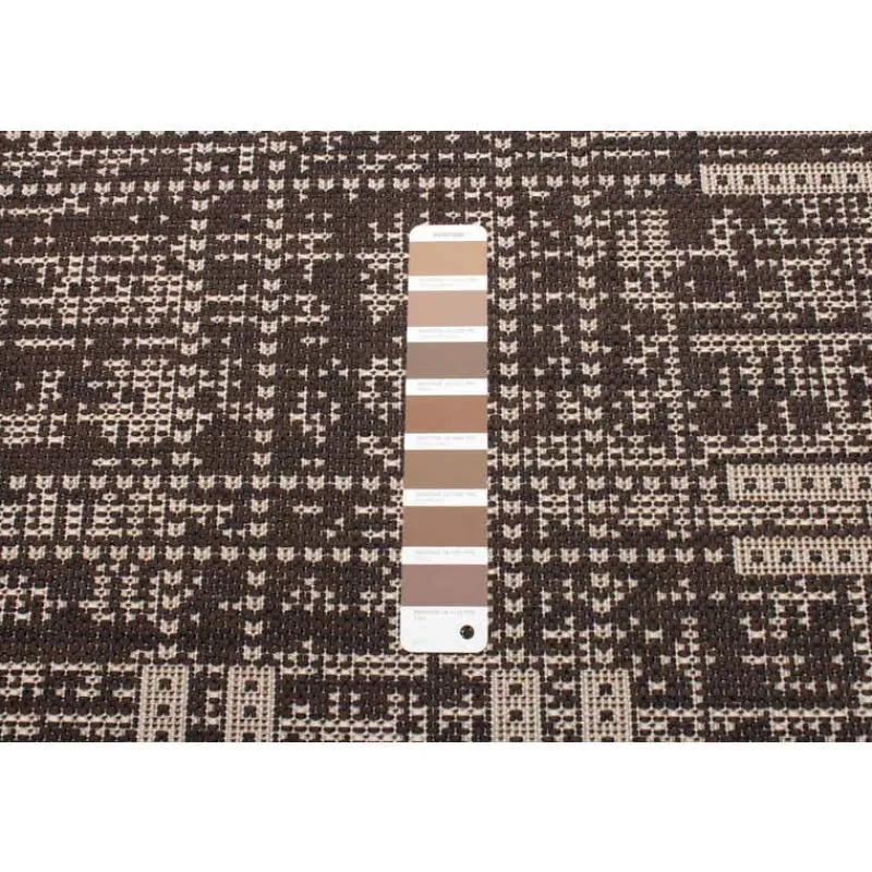 Indoor or Outdoor Rug - 4 x 6