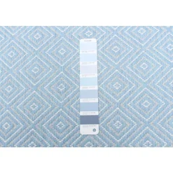 Indoor or Outdoor Rug - 5 x 7
