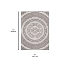 Indoor or Outdoor Rug - 7 x 10