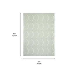 Indoor or Outdoor Rug - 5 x 7