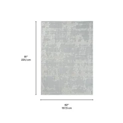 Indoor or Outdoor Rug - 5 x 8