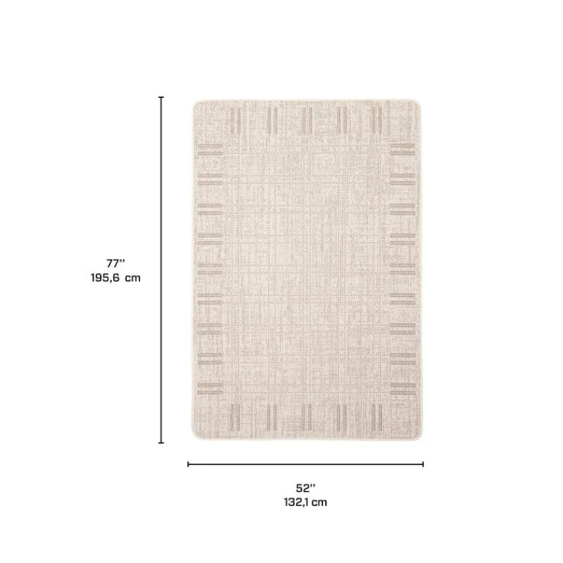 Indoor or Outdoor Rug - 4 x 6