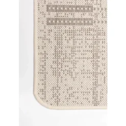Indoor or Outdoor Rug - 4 x 6