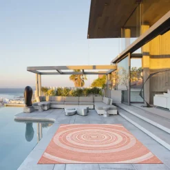 Indoor or Outdoor Rug - 5 x 7